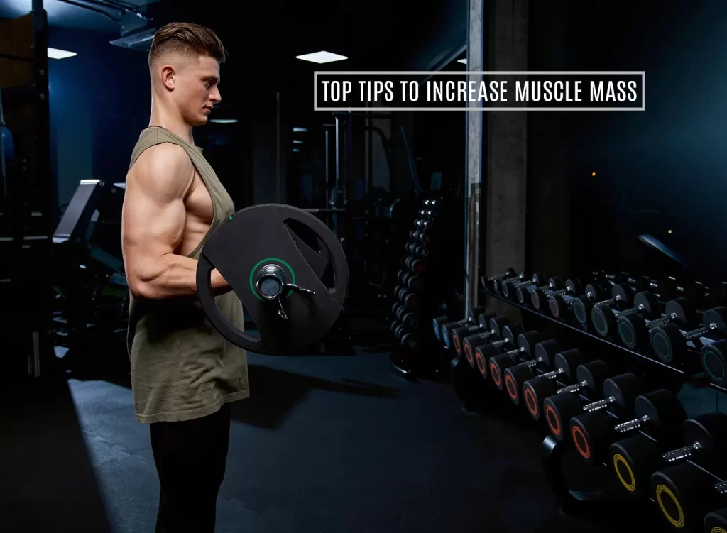 Tips to increase muscle